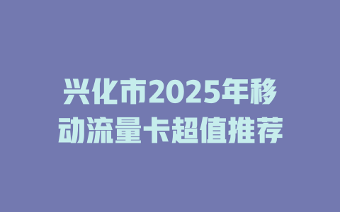 兴化市2025年移动流量卡超值推荐