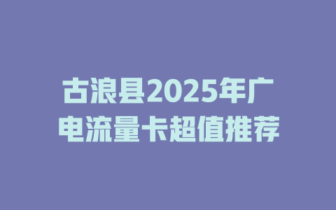 古浪县2025年广电流量卡超值推荐