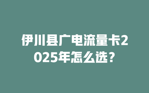 伊川县广电流量卡2025年怎么选？