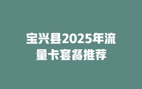宝兴县2025年流量卡套餐推荐