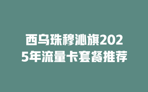 西乌珠穆沁旗2025年流量卡套餐推荐