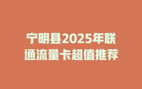 宁明县2025年联通流量卡超值推荐