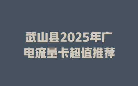 武山县2025年广电流量卡超值推荐
