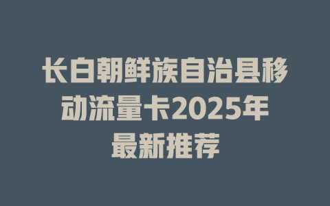 长白朝鲜族自治县移动流量卡2025年最新推荐