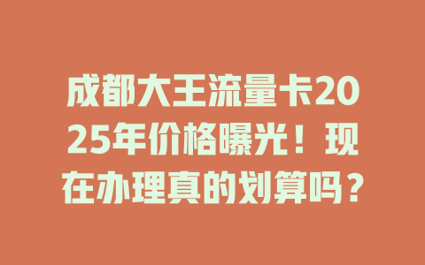 成都大王流量卡2025年价格曝光！现在办理真的划算吗？
