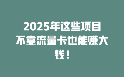 2025年这些项目不靠流量卡也能赚大钱！