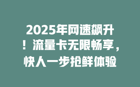 2025年网速飙升！流量卡无限畅享，快人一步抢鲜体验