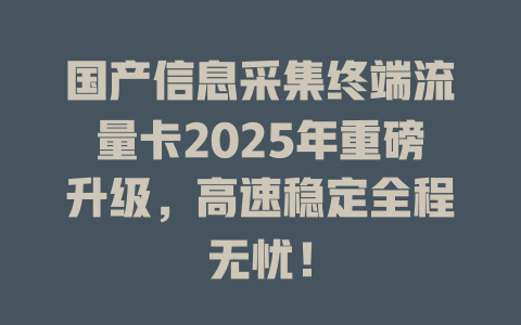国产信息采集终端流量卡2025年重磅升级，高速稳定全程无忧！