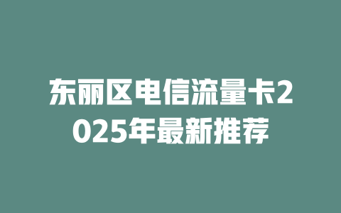 东丽区电信流量卡2025年最新推荐
