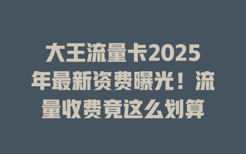 大王流量卡2025年最新资费曝光！流量收费竟这么划算