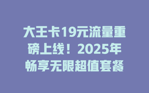 大王卡19元流量重磅上线！2025年畅享无限超值套餐