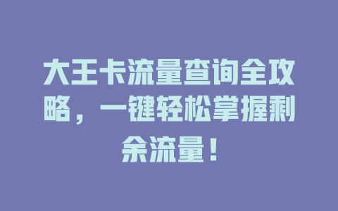 大王卡流量查询全攻略，一键轻松掌握剩余流量！