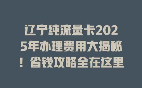 辽宁纯流量卡2025年办理费用大揭秘！省钱攻略全在这里