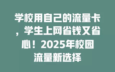 学校用自己的流量卡，学生上网省钱又省心！2025年校园流量新选择