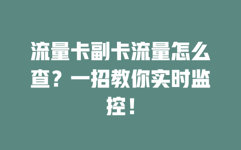 流量卡副卡流量怎么查？一招教你实时监控！