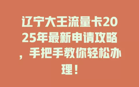 辽宁大王流量卡2025年最新申请攻略，手把手教你轻松办理！