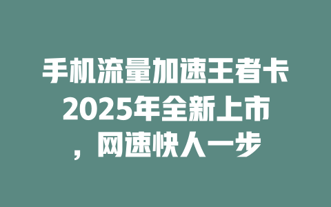 手机流量加速王者卡2025年全新上市，网速快人一步