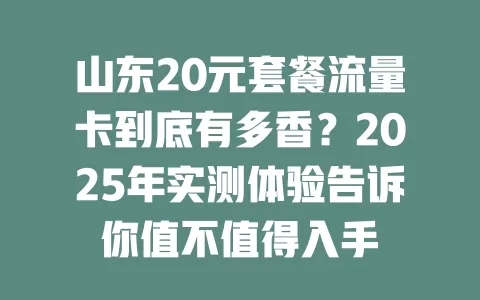 山东20元套餐流量卡到底有多香？2025年实测体验告诉你值不值得入手