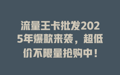 流量王卡批发2025年爆款来袭，超低价不限量抢购中！