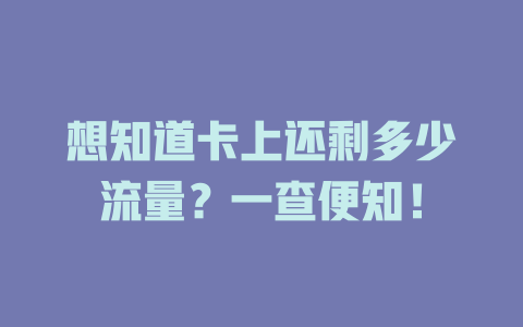 想知道卡上还剩多少流量？一查便知！