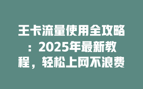 王卡流量使用全攻略：2025年最新教程，轻松上网不浪费
