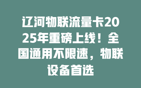 辽河物联流量卡2025年重磅上线！全国通用不限速，物联设备首选
