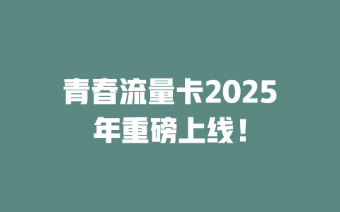 青春流量卡2025年重磅上线！