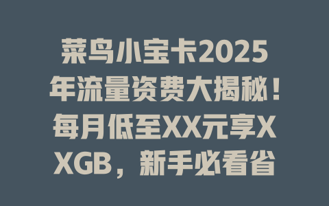 菜鸟小宝卡2025年流量资费大揭秘！每月低至XX元享XXGB，新手必看省钱攻略