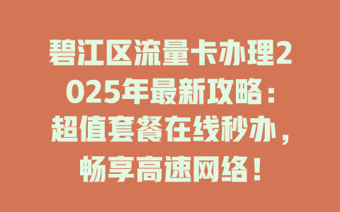 碧江区流量卡办理2025年最新攻略：超值套餐在线秒办，畅享高速网络！