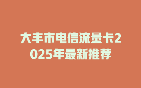 大丰市电信流量卡2025年最新推荐