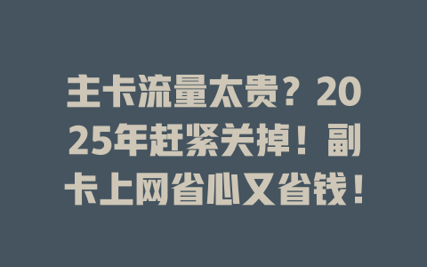主卡流量太贵？2025年赶紧关掉！副卡上网省心又省钱！