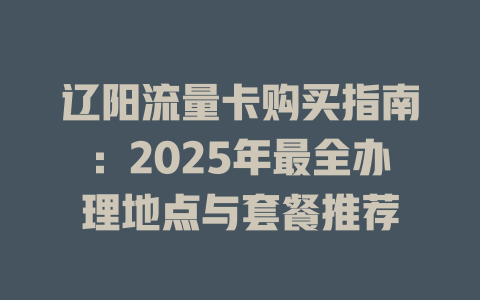 辽阳流量卡购买指南：2025年最全办理地点与套餐推荐