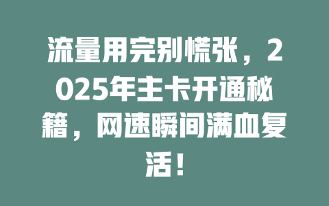 流量用完别慌张，2025年主卡开通秘籍，网速瞬间满血复活！