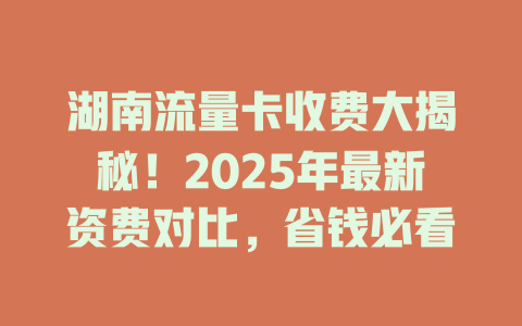 湖南流量卡收费大揭秘！2025年最新资费对比，省钱必看