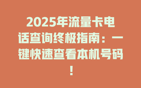2025年流量卡电话查询终极指南：一键快速查看本机号码！