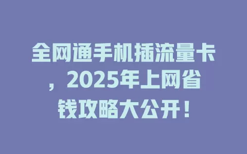 全网通手机插流量卡，2025年上网省钱攻略大公开！