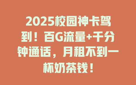 2025校园神卡驾到！百G流量+千分钟通话，月租不到一杯奶茶钱！