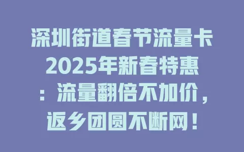 深圳街道春节流量卡2025年新春特惠：流量翻倍不加价，返乡团圆不断网！