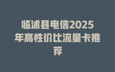 临沭县电信2025年高性价比流量卡推荐