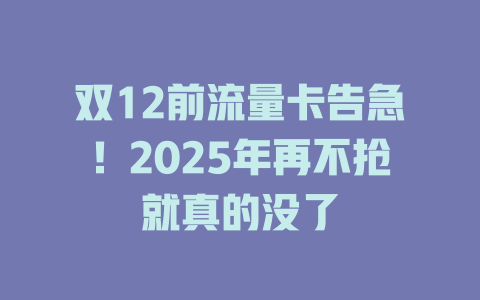 双12前流量卡告急！2025年再不抢就真的没了