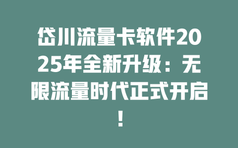 岱川流量卡软件2025年全新升级：无限流量时代正式开启！