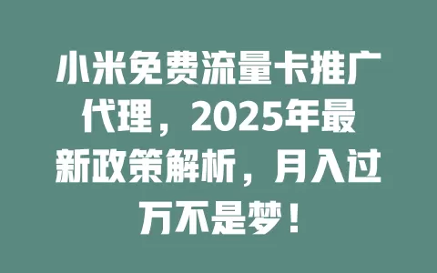 小米免费流量卡推广代理，2025年最新政策解析，月入过万不是梦！