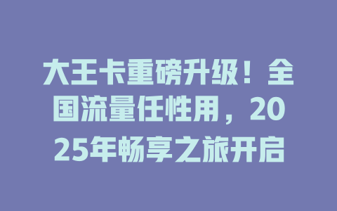 大王卡重磅升级！全国流量任性用，2025年畅享之旅开启