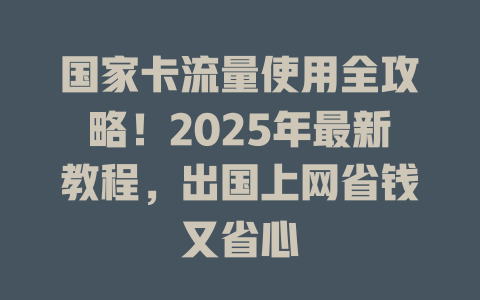 国家卡流量使用全攻略！2025年最新教程，出国上网省钱又省心