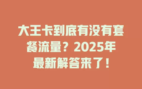 大王卡到底有没有套餐流量？2025年最新解答来了！