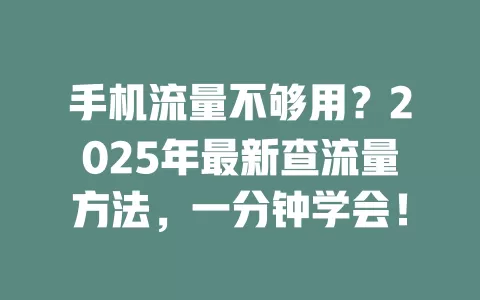 手机流量不够用？2025年最新查流量方法，一分钟学会！