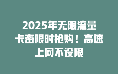 2025年无限流量卡密限时抢购！高速上网不设限