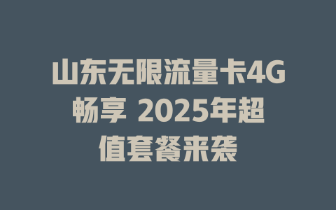 山东无限流量卡4G畅享 2025年超值套餐来袭