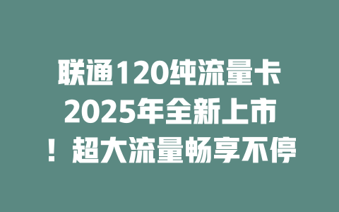 联通120纯流量卡2025年全新上市！超大流量畅享不停
