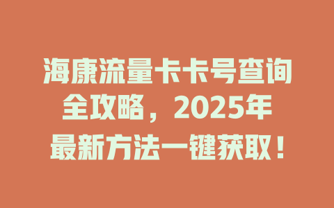 海康流量卡卡号查询全攻略，2025年最新方法一键获取！